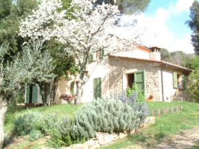 Casa Jacaranda Monteverdi Marittimo